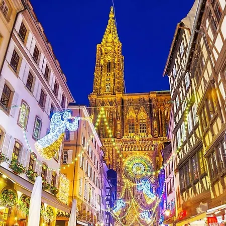 Appartement Nid Cosy Au Centre Ville, Vue Magique Cathédrale Strasbourg