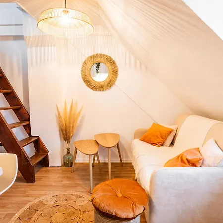 Nid Cosy Au Centre Ville, Vue Magique Cathedrale * Strasbourg