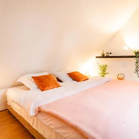 Nid Cosy Au Centre Ville, Vue Magique Cathedrale